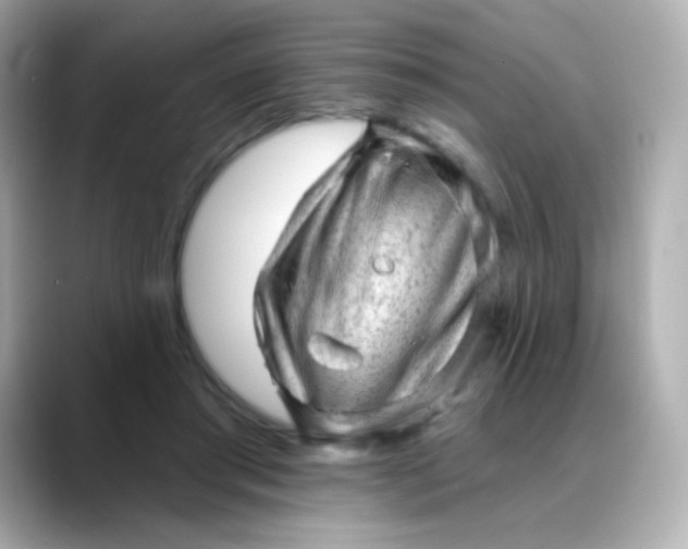 X0000088450405200706051310