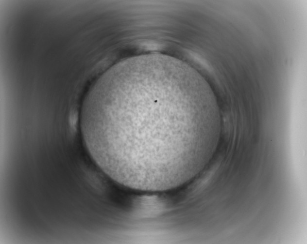 X0000088450406200706051310