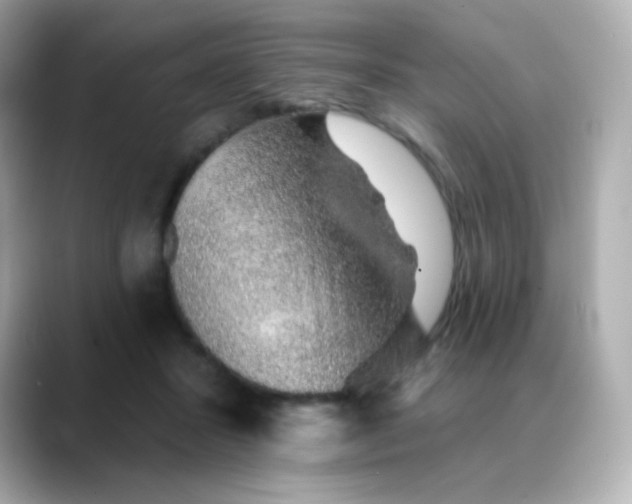 X0000088450407200706051310