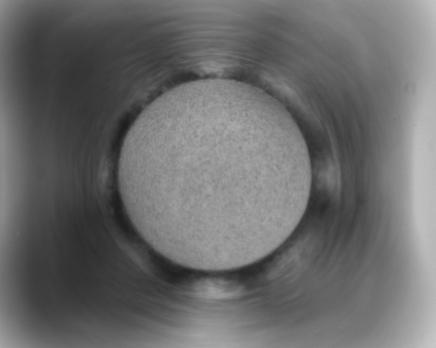 X0000088450408200706051310