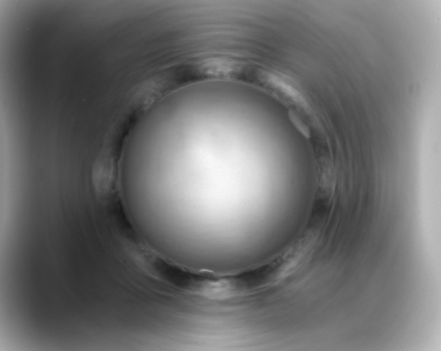X0000088450411200706051310
