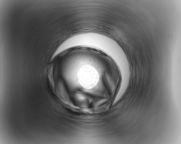X0000088450412200706051310