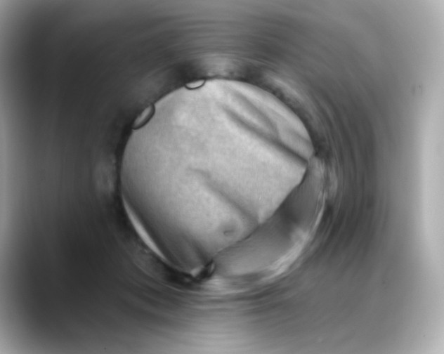X0000088450413200706051310