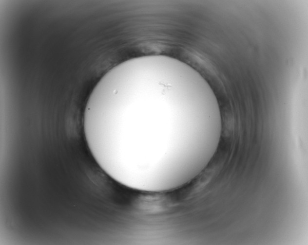 X0000088450414200706051310