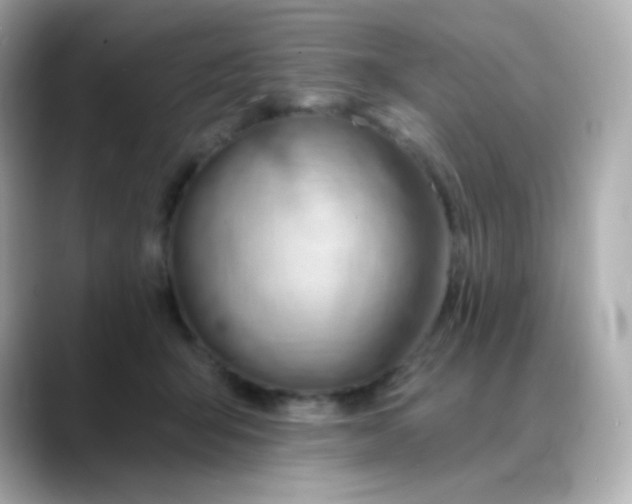X0000088450415200706051310