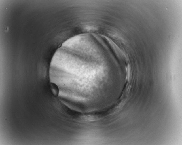 X0000088450417200706051310