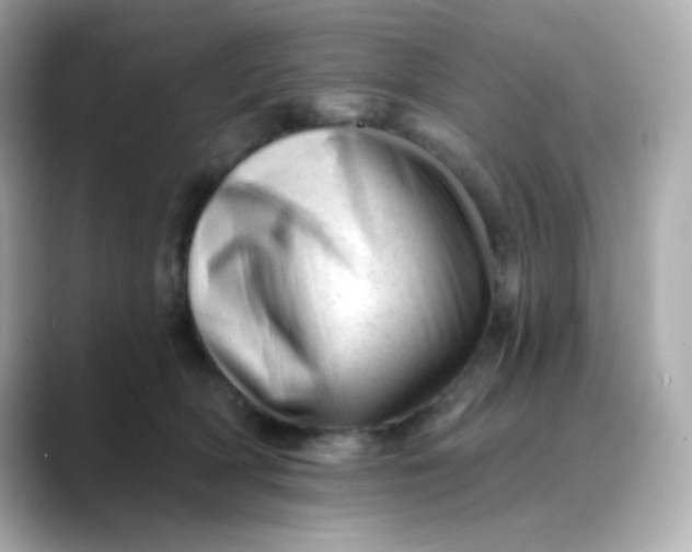 X0000088450418200706051310