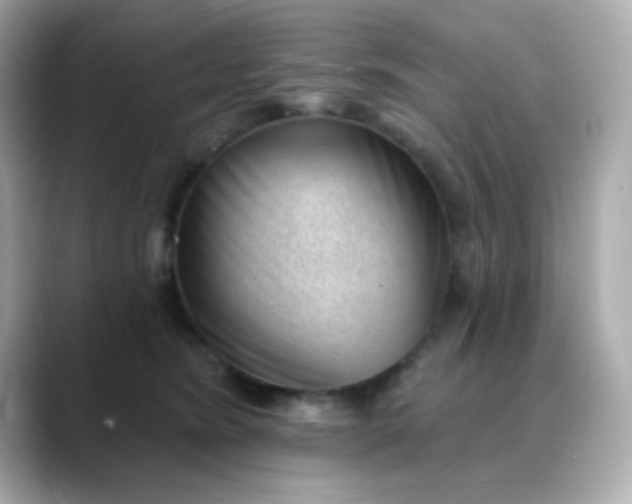 X0000088450420200706051310
