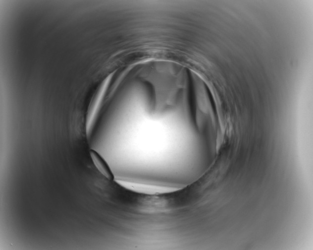 X0000088450421200706051310