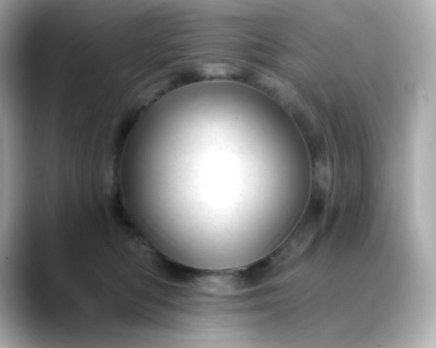 X0000088450422200706051310