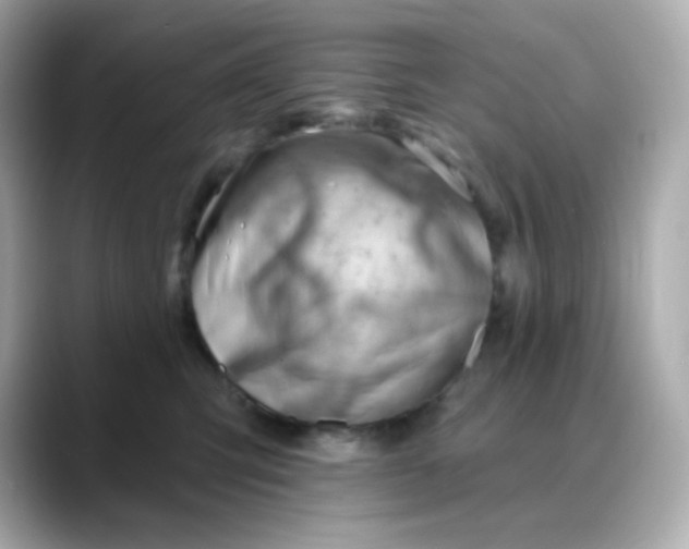 X0000088450423200706051310