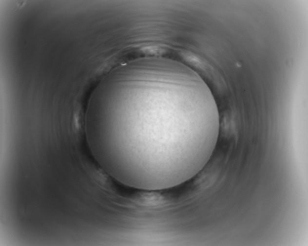 X0000088450424200706051310