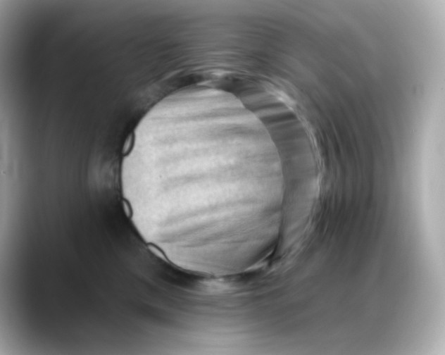 X0000088450425200706051310