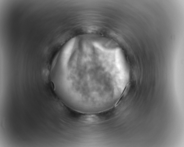 X0000088450427200706051309