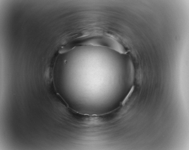 X0000088450428200706051309