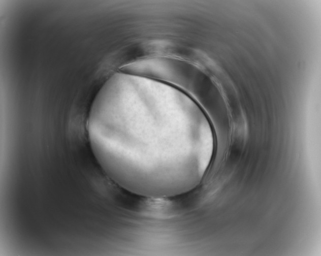 X0000088450429200706051309