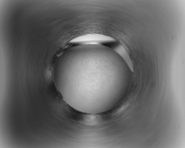 X0000088450432200706051309