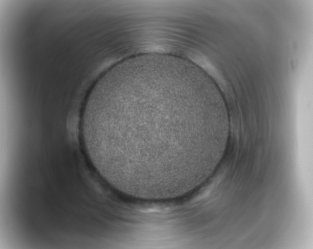 X0000088450434200706051309