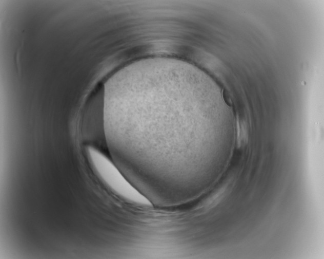 X0000088450435200706051309