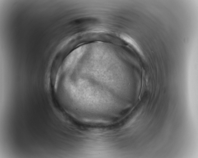 X0000088450436200706051309