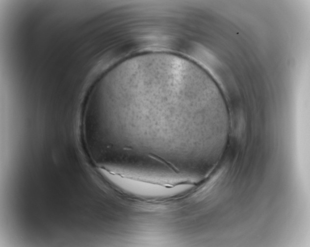 X0000088450437200706051309