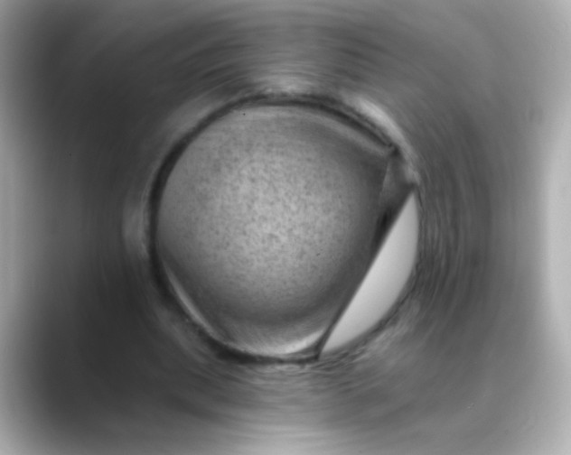 X0000088450439200706051309