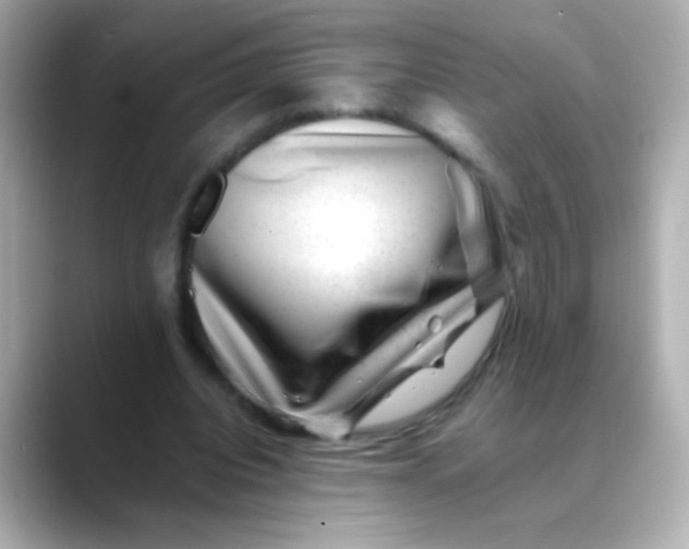 X0000088450440200706051309