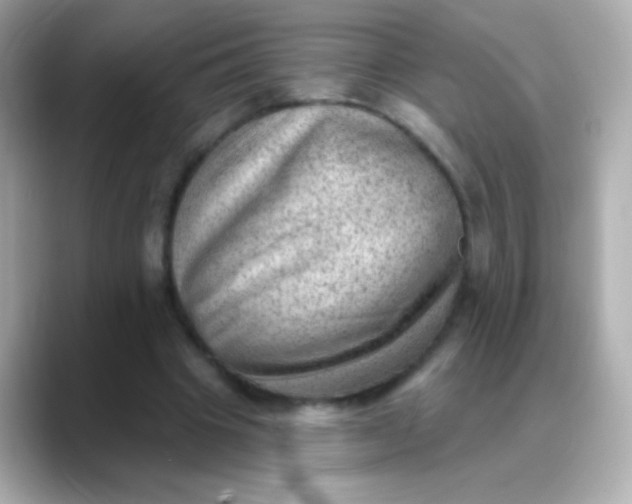 X0000088450441200706051309