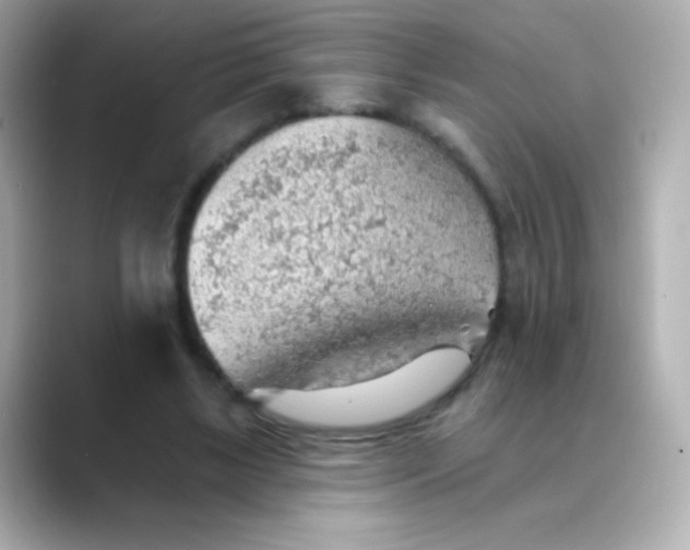 X0000088450443200706051309