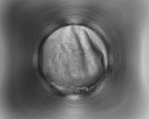 X0000088450444200706051309