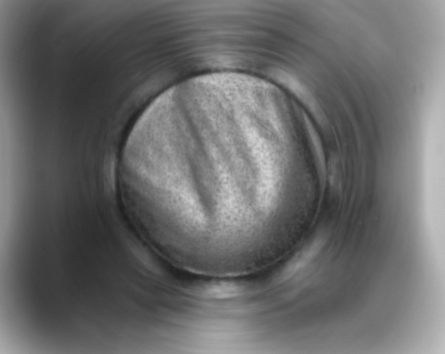 X0000088450445200706051309