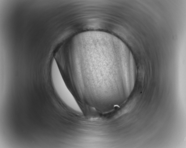 X0000088450446200706051309