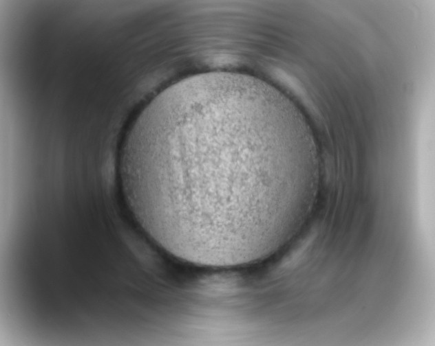 X0000088450447200706051309