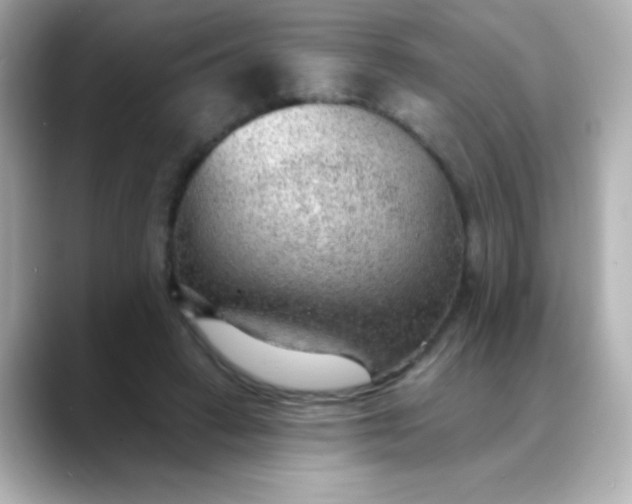 X0000088450449200706051309