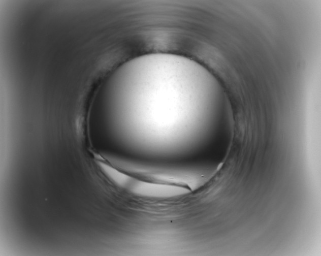 X0000088450450200706051309