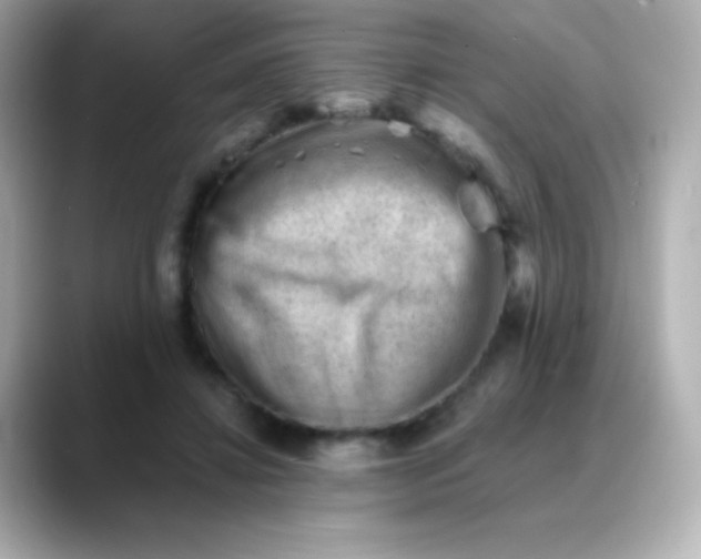 X0000088450452200706051309