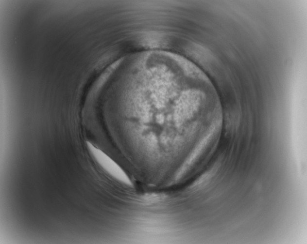 X0000088450453200706051309