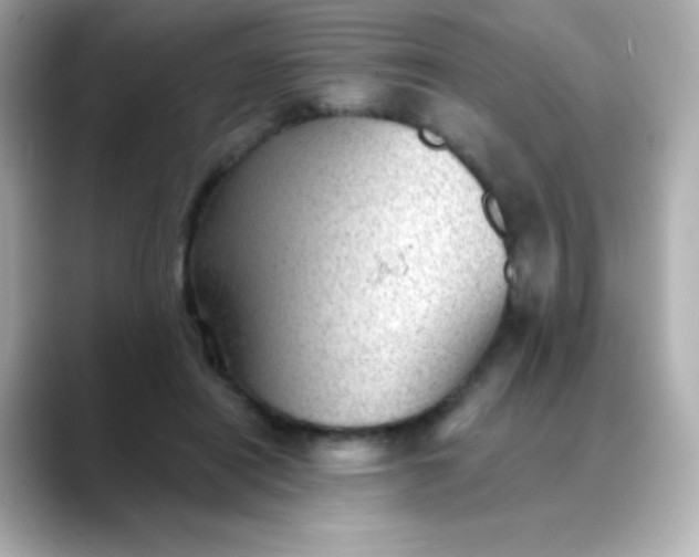 X0000088450454200706051309