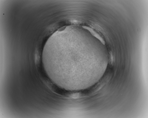 X0000088450456200706051309
