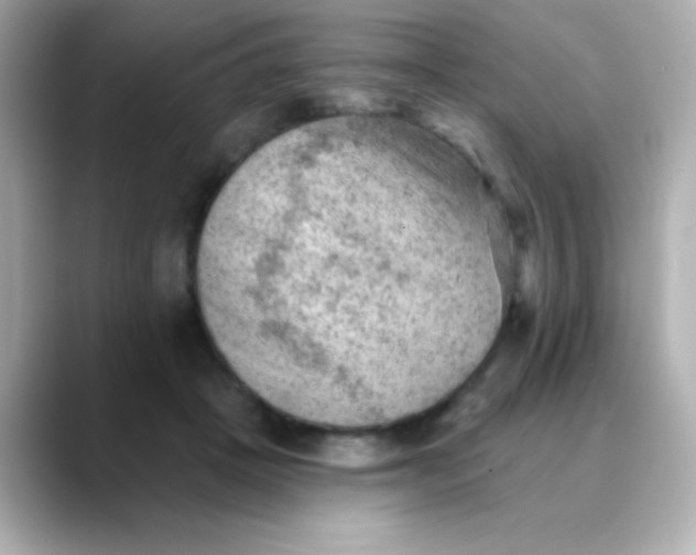 X0000088450457200706051309