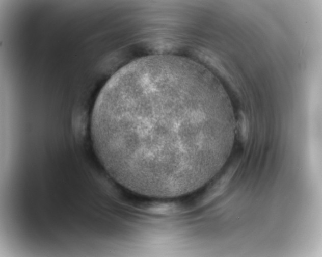 X0000088450458200706051309