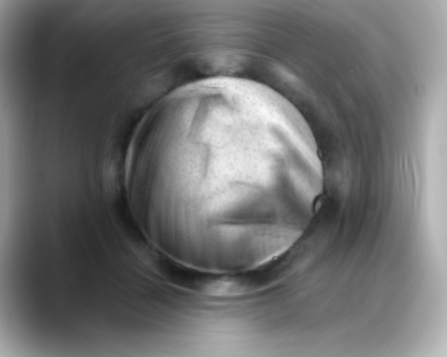 X0000088450460200706051309