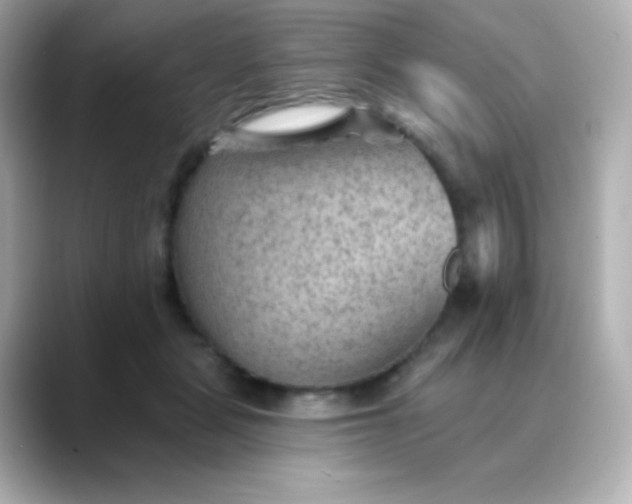 X0000088450461200706051309