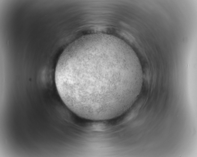 X0000088450462200706051309