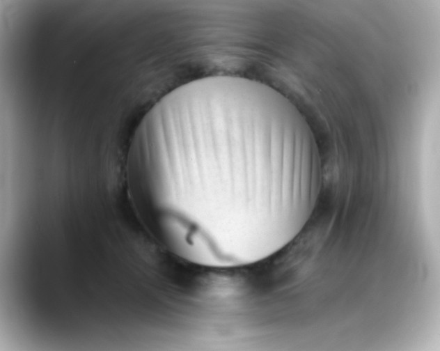 X0000088450464200706051309