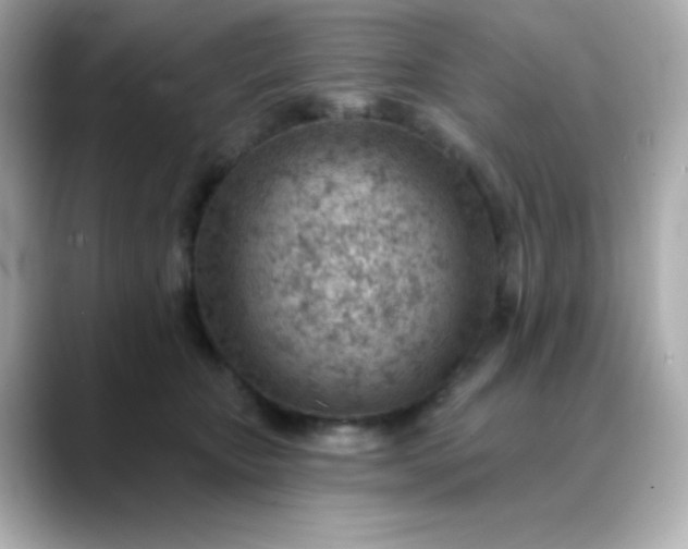 X0000088450467200706051309