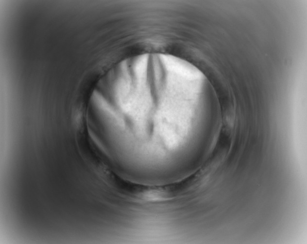 X0000088450468200706051309