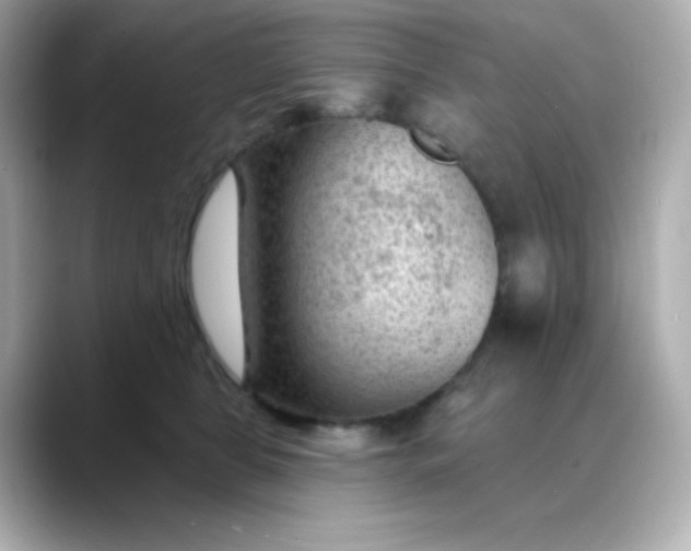 X0000088450469200706051309
