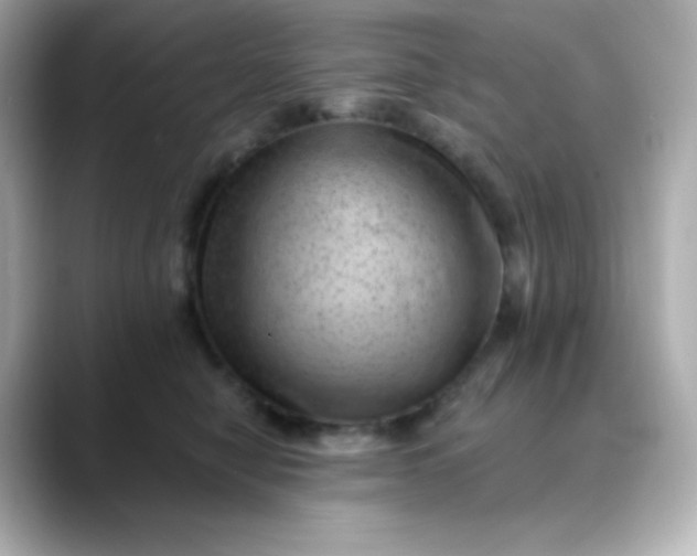 X0000088450470200706051309