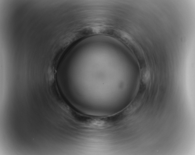 X0000088450471200706051309
